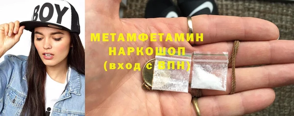 трава Белокуриха