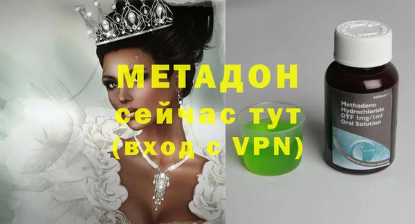 трава Белокуриха