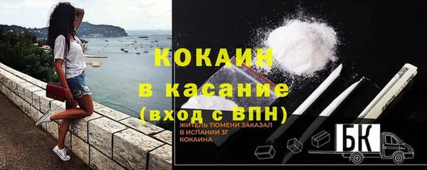 трава Белокуриха