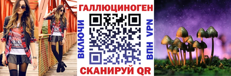 Псилоцибиновые грибы Cubensis Балтийск