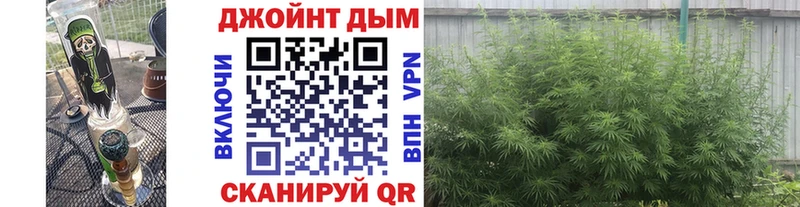 Бошки Шишки гибрид Балтийск